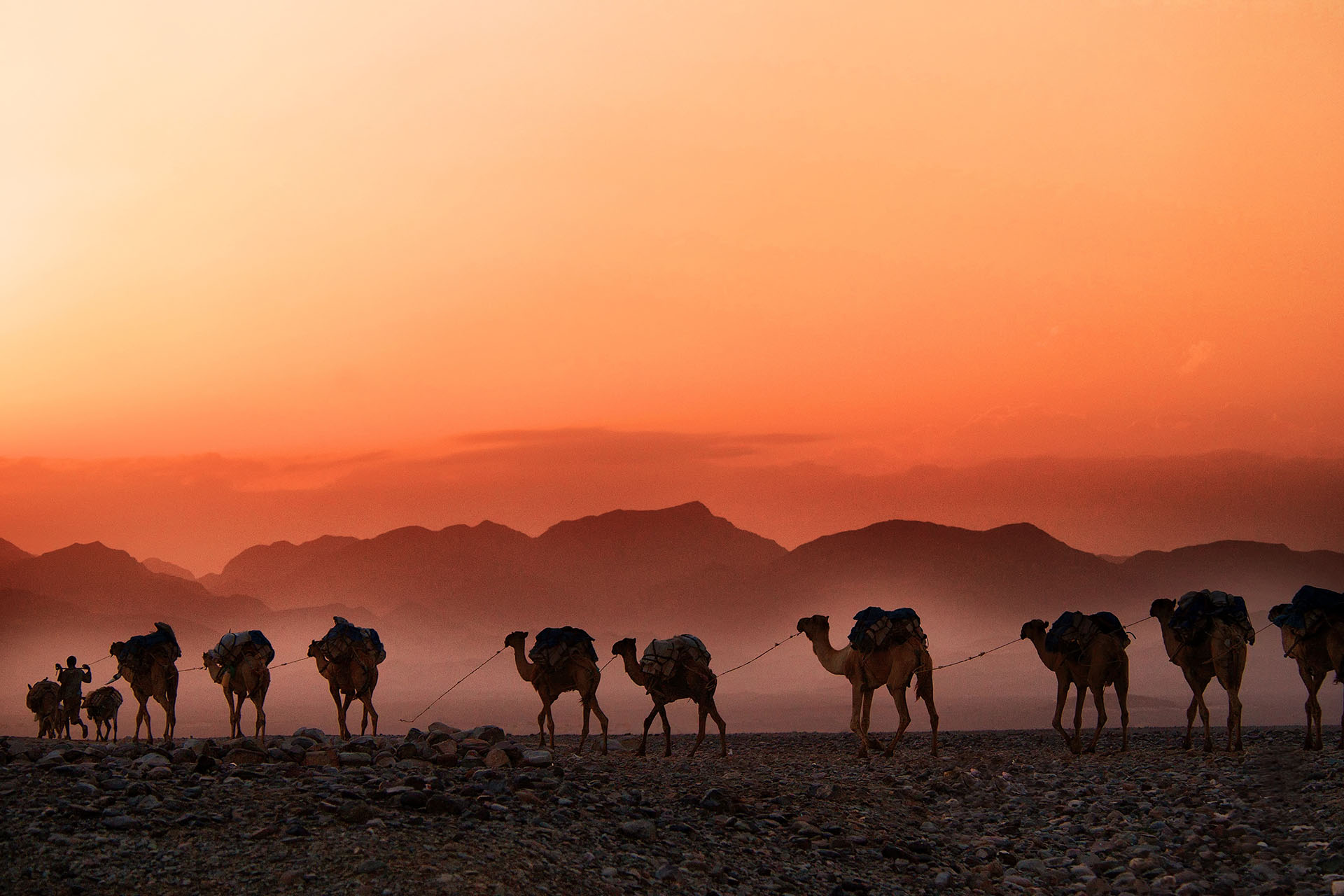 The surprise of the Sahara desert makes you want to visit once